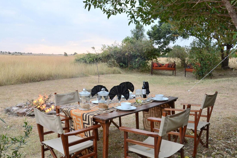 9 DAGARS SAFARI I KENYAS VILDA DJUR OCH STRANDSEMESTER I MOMBASA