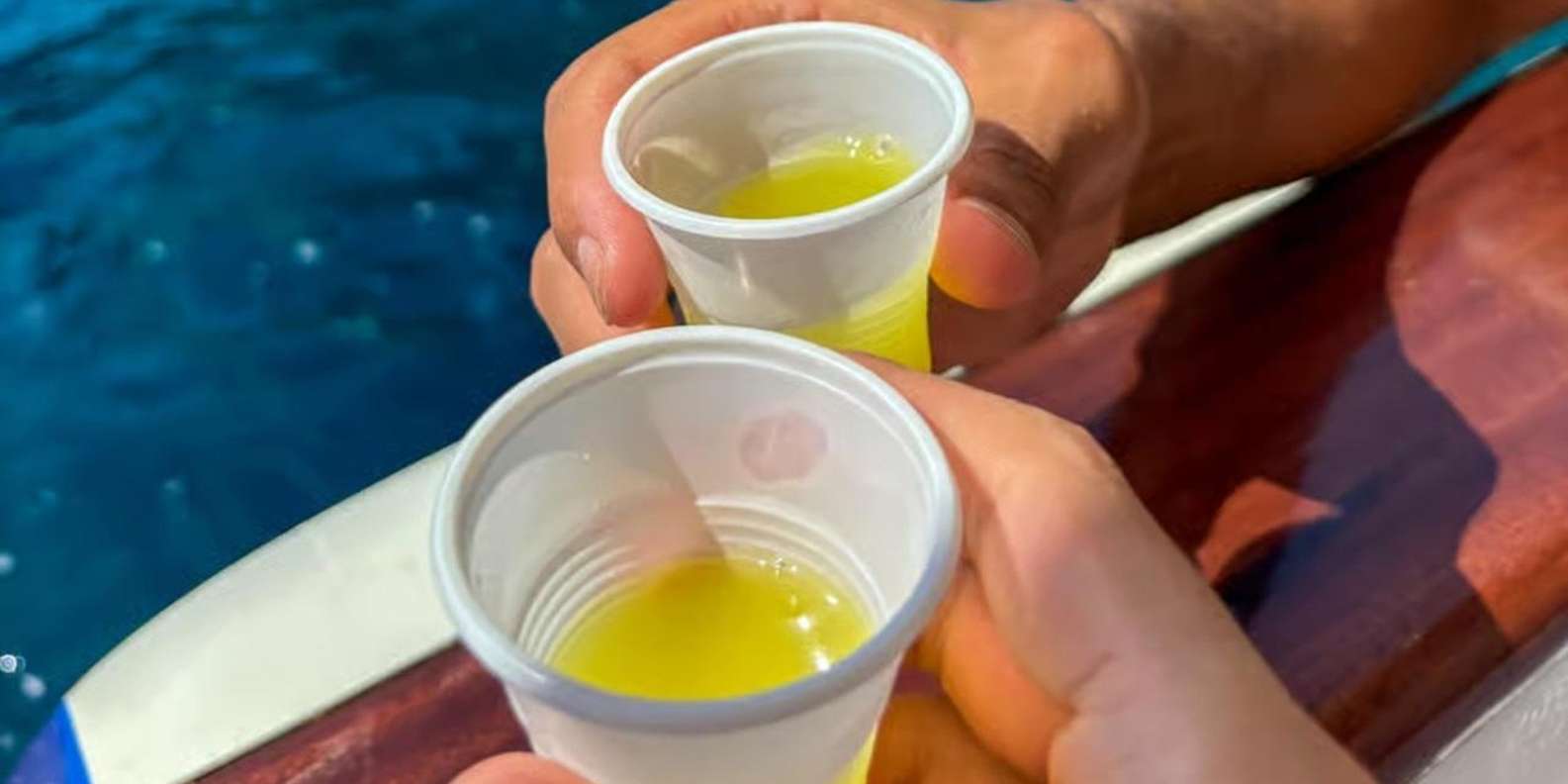 Capri Boat Experience: Faraglioni, Caves, Swim, Limoncello — image 7