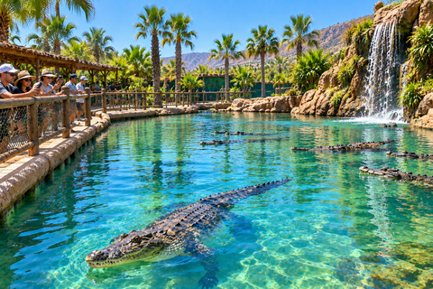 Agadir Tour: Cable Car, Crocoparc & Tree-Climbing Goats From Agadir Cable Car, Crocoparc & Tree-Climbing Goats