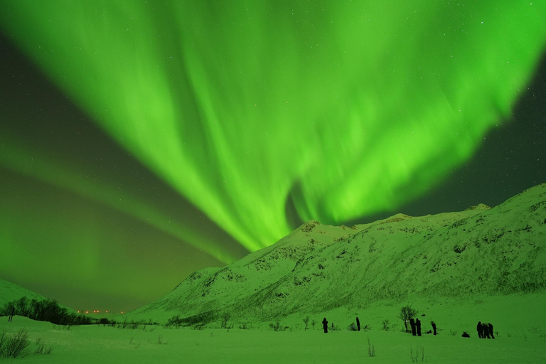 Tromsø: English/Spanish Aurora Pathfinder Tour with Photos Tromsø: English/Spanish Aurora Hunting Private Minibus Tour