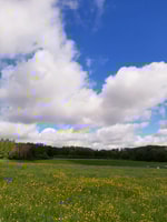 Flemish Ardennes Unveiled, Nature, Culture & Gastronomy - Housity