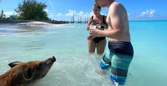 Rose Island: Snorkeling, Swimming Pigs & Unlimited Rum Punch