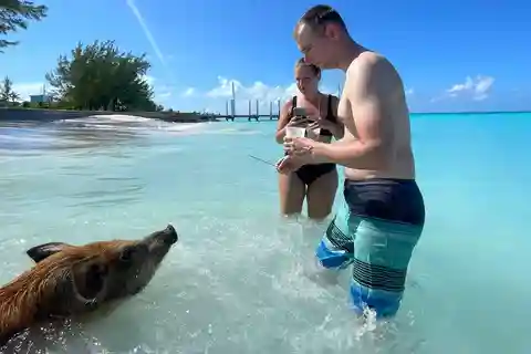 Rose Island: Snorkeling, Swimming Pigs & Unlimited Rum Punch