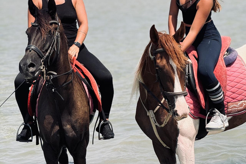 Hurghada: 1 HR Red Sea Swimming with Horses with Transfers Exclusive Family Package – 1 HR with Swimming & Transfers