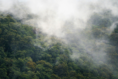 From Cusco: 3-Day Manu Amazon Jungle Expedition & Photos