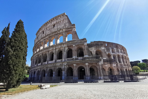Rome: Colosseum FULL EXPERIENCE ARENA FLOOR GUIDED TOUR Shared Group ( 7 people max)