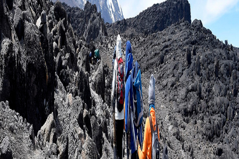 LE MEILLEUR TREKKING DE 3 JOURS SUR LE KILIMANDJARO : L&#039;OFFRE DE LA ROUTE DE MACHAMELE MEILLEUR TREKKING DE 3 JOURS SUR LE KILIMANDJARO : L&#039;OFFRE DE LA ROUTE MACHAME