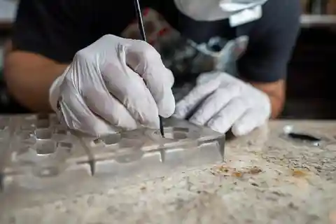 Do grão à barra: Oficina de cacau e chocolate