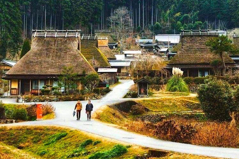 Privérondleiding op de berg Fuji en Hakone