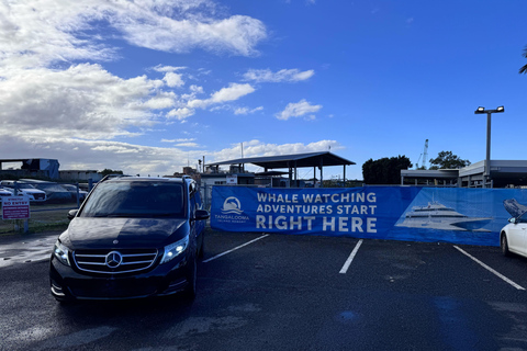 TANGALOOMA : HOLT ST WHARF TO GOLD COAST SHUTTLEDébarquement à l&#039;hôtel Mantra Legends