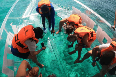 Sail around cancun in the best transparent boat + 2 drinks