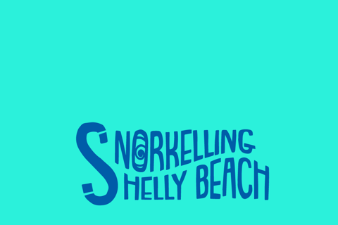 Manly Beach Guided Snorkeling Tours Open Group Tour