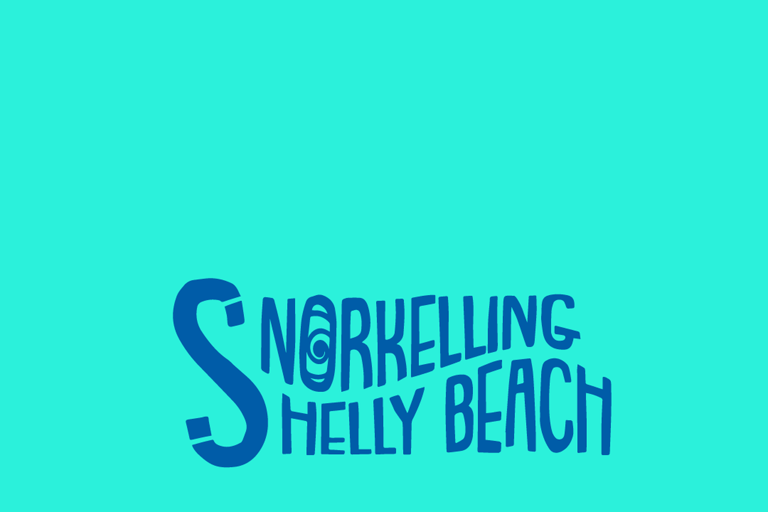 Manly Beach Guided Snorkeling Tours Open Group Tour