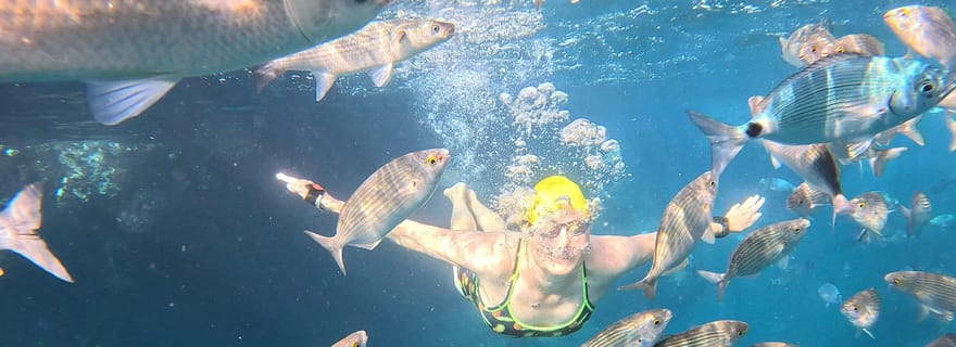Madère : Excursion à la nage dans la réserve naturelle de Garajau