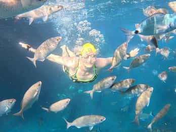 Madeira: Garajau Nature Reserve Swim Tour
