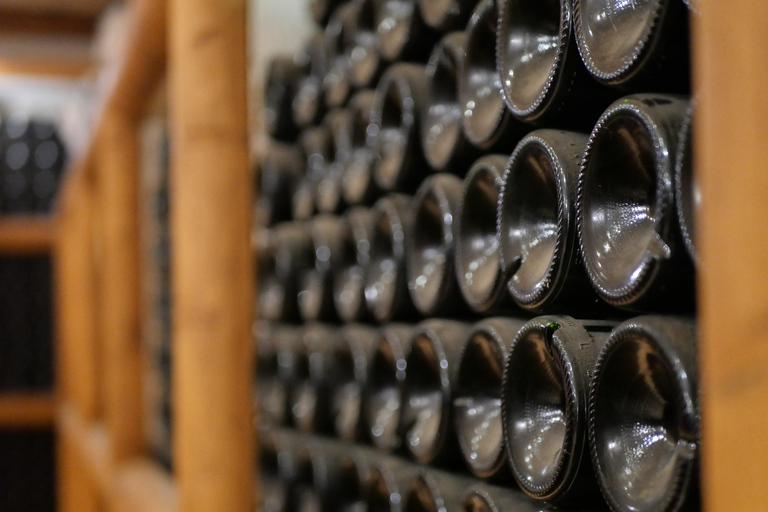 Angers: Guided Wine Tour at Château d'Avrillé with Tasting