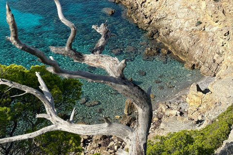 Serra Tramuntana: uma caminhada fácil e memorável com belas vistas