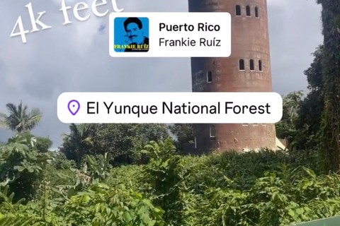 El Yunque Tour Forêt tropicale et toboggan aquatique Puerto Rico