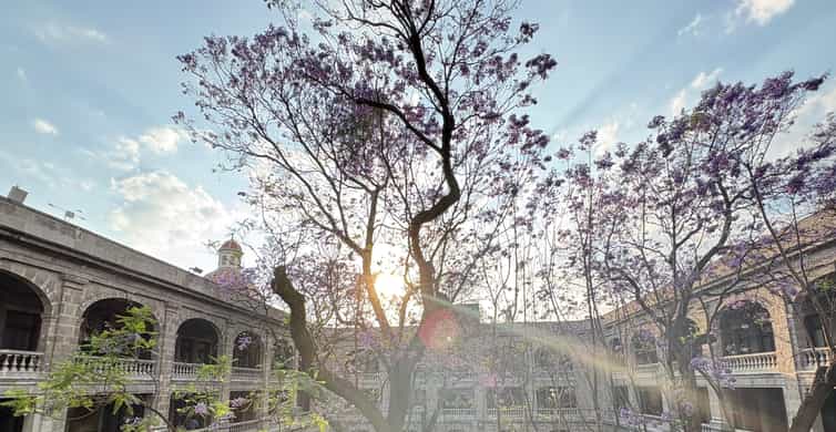 Mexico City: Diego Rivera's Murals Guided Walking Tour photo 19