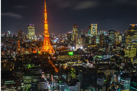 Tokyo Full Day Private Sightseeing Tour with English Driver