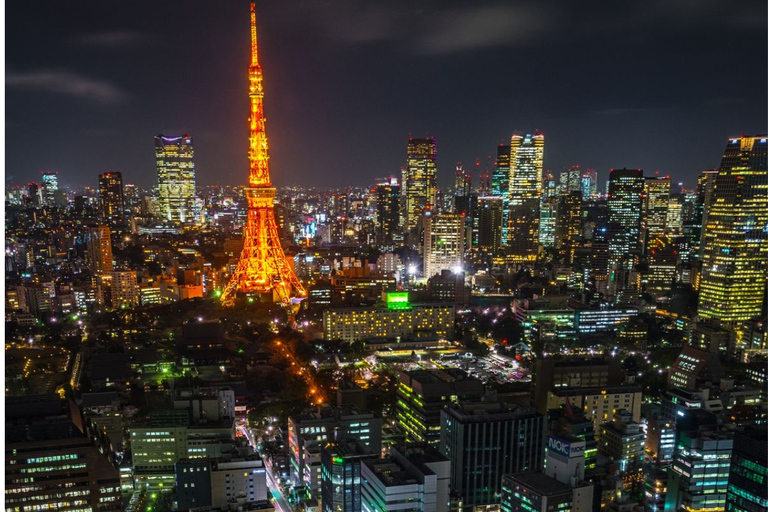 Tokyo Full Day Private Sightseeing Tour with English Driver