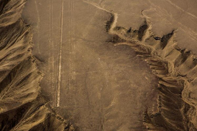 From Ica: Nazca Lines and Dune Buggy Tour (Huacachina) Group From Ica: Nazca Lines and Dune Buggy Tour (Huacachina)