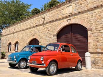 Marche: Tour in vintage Fiat 500 around Verdicchio hills