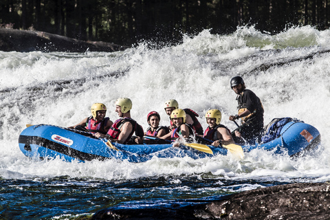 Evje: Viaggio di rafting nei fiumi più caldi della NorvegiaEvje: Viaggio di rafting sui fiumi più caldi della Norvegia