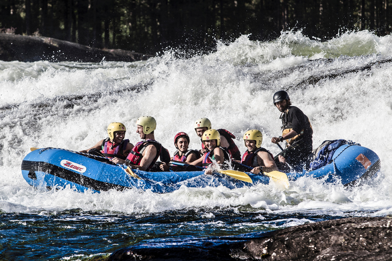 Evje: Viaggio di rafting nei fiumi più caldi della NorvegiaEvje: Viaggio di rafting sui fiumi più caldi della Norvegia