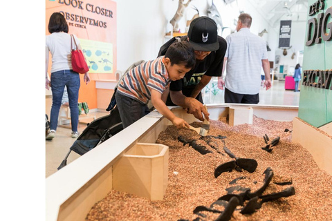 Natural History Museum LA: Entry + Fierce! The Story of Cats Fierce! The Story of Cats Special Exhibition - Weekends