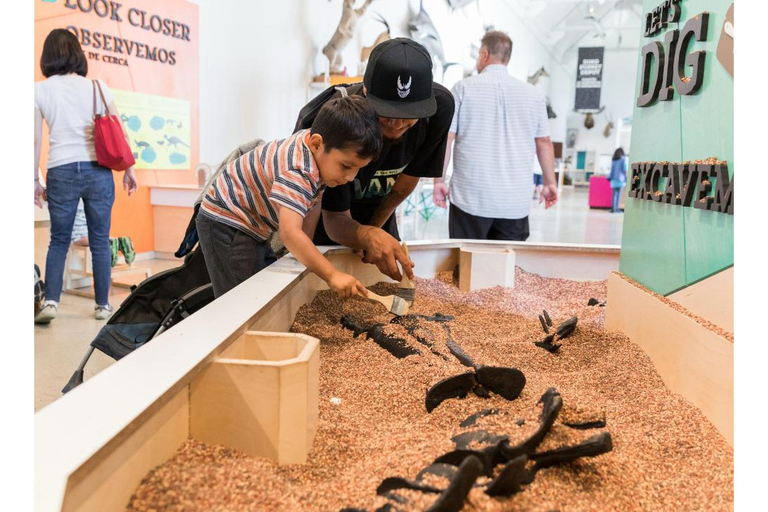 Natural History Museum LA: Entry + Fierce! The Story of Cats Fierce! The Story of Cats Special Exhibition - Weekends