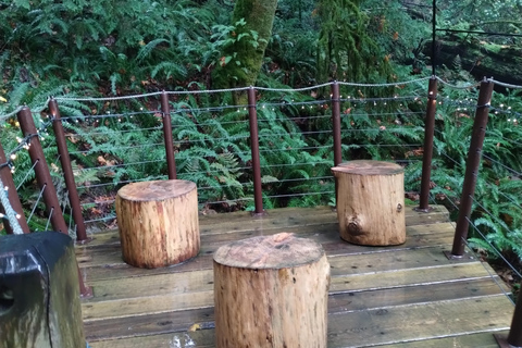 4Tour:Capilano Suspension Br/CAR/Small GROUP+Lake+Dam+Hacher