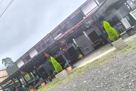 Between Dishes and Streets: Explore San Francisco with Cund Between Dishes and Streets: Explore San Francisco with us