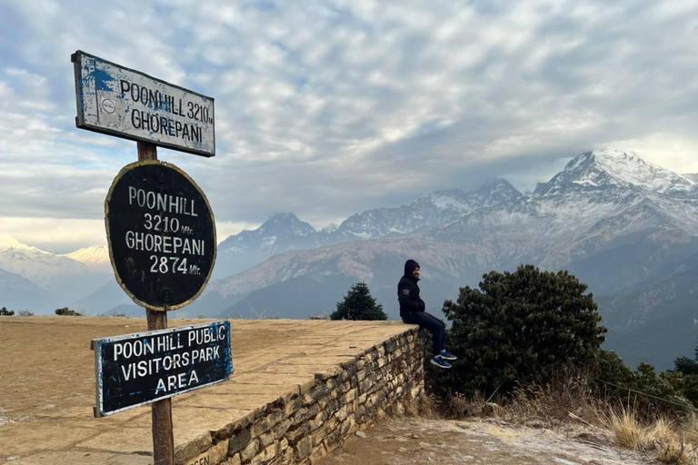 Från Pokhara: 4-dagars Ghorepani Poon Hill Trek med guide