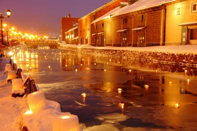 Sapporo: Otaru Snow Light Path Festival Private Day Trip No return to Sapporo
