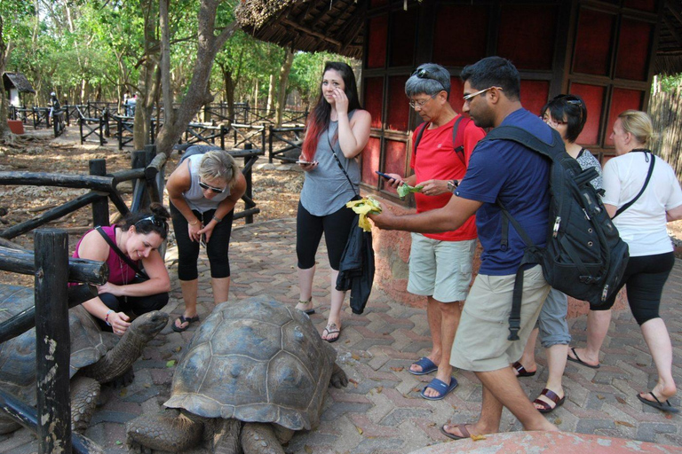 Zanzibar: Stone Town & Prison Island Guided Tour