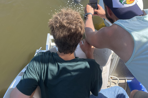 Cocoa Beach: Dolphin & Manatee Small Group Eco Boat Tour