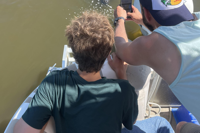 Cocoa Beach: Dolphin & Manatee Small Group Eco Boat Tour