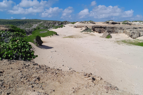 Nationalpark och Baby Beach med cross aruba tours