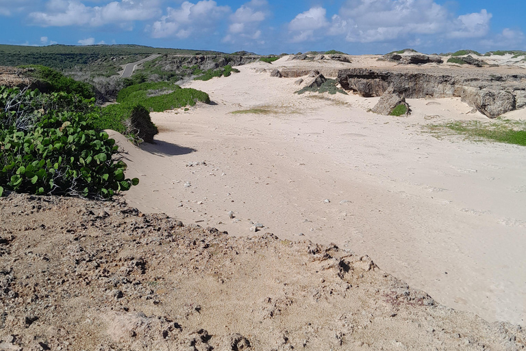 Parque Nacional y Baby Beach por cross aruba tours