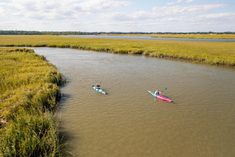 Charleston: Folly Beach Kayak Dolphin Safari Single Sit In Kayak for Tour