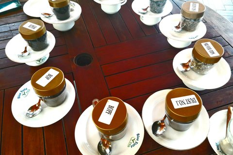 Sri Lanka: 15-Day Guided Tour with Transfers & Hotels