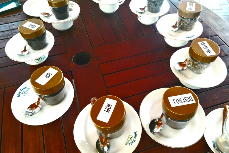 Sri Lanka: 15-Day Guided Tour with Transfers & Hotels