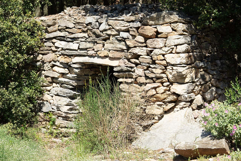 Béziers : Explora los viñedos de Faugères con un picnic