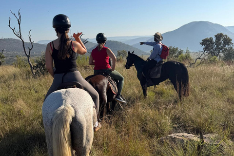 Jozi: Guided Horseback Safari Through African Wildlife