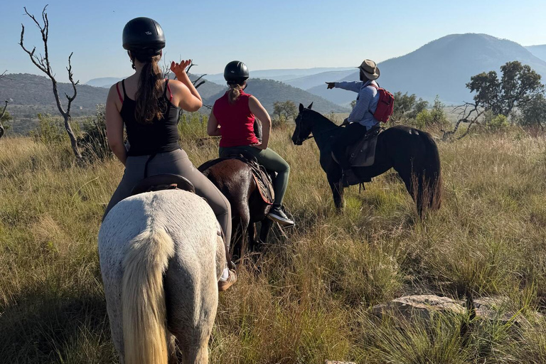Jozi: Guided Horseback Safari Through African Wildlife