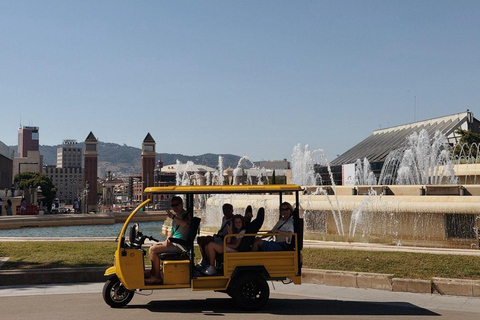 Barcelona: Electric Tuk-Tuk Tour with Local Guide
