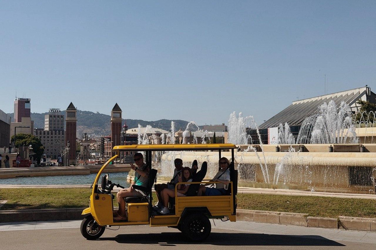 Barcelona: Electric Tuk-Tuk Tour with Local Guide