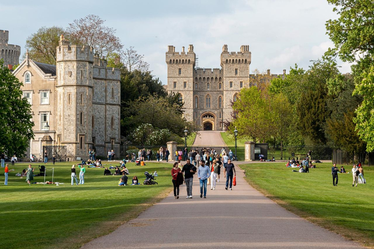 Patrimonio y Majestad: Excursión privada de un día desde Southampton