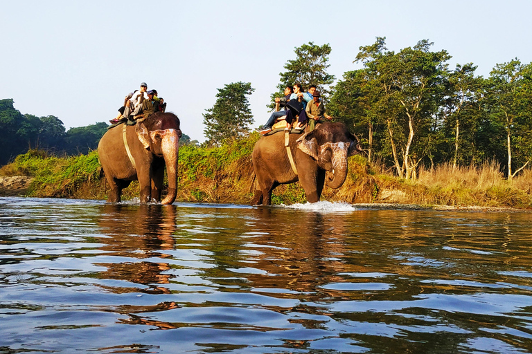 From Kathmandu/Pokhara: 3-Day All-Inclusive Chitwan Safari 4-Star Luxury Accommodation at Hotel Seven Star